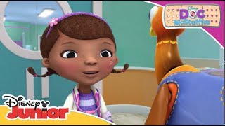 Top 7 operațiuni de salvare ale Doctoriței Plușica  Disney Junior România [upl. by Nai948]