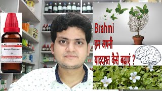 Brahmi  Bacopa monnieri  Homeopathic medicine Brahmi  क्या इससे याददाश्त बढ़ती है  memory [upl. by Blount]