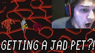 HOW TO GET THE JAD PET [upl. by Hermia]