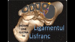 dictare live glezna 02 [upl. by Celie]