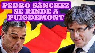 PEDRO SÁNCHEZ SE RINDE A PUIGDEMONT [upl. by Eidnak]