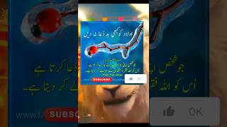 Prayer for children islam quotes urdu poetry explore viralvideo shortsfeed youtubeshorts [upl. by Steffin]