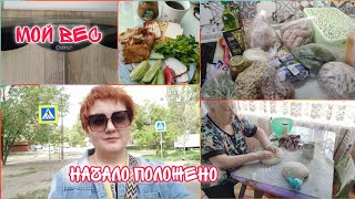 Начала интенсив Мой вес Моё питание Закупка продуктов Отношение к еде [upl. by Kcirdet]