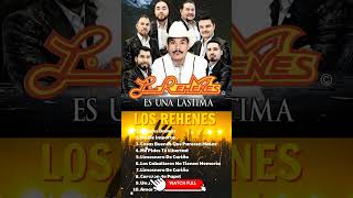 Pobre Diablo  Los Rehenes Mix Grandes Exitos 2024 shorts losrehenes musica grandesexitos [upl. by Calvina]