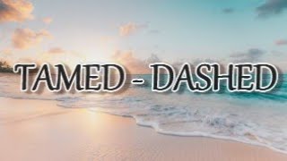 TamedDashedENHYPEN English Lyrics [upl. by Jenifer]