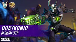 DrayKonic ANDROXUS PALADINS COMPETITIVE MASTER DARK STALKER [upl. by Utas]