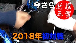 お正月にはコマを回して遊びましょう！っていう動画 [upl. by Jesher]