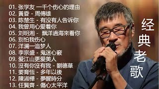 经典老歌500首大全  群星 里 一人一首成名曲  張宇 蘇芮 巫啟賢 王傑 邰正宵 林憶蓮 張信哲 趙傳 潘越雲 潘美辰 陳昇 黃昏 [upl. by Irdua550]