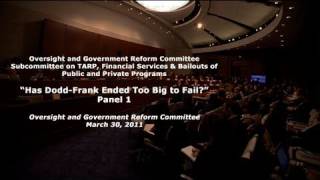 quotHas DoddFrank Ended Too Big To Failquot Panel 1 [upl. by Oj]