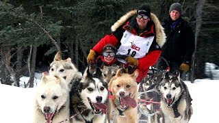 Dog Sledding Race In Australia [upl. by Rosenberg752]