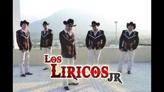 💃CUMBIAS MIX PERRONAS CON VIOLÍN 🎻LOS LIRICOS JR [upl. by Conan]