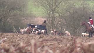 Digging Out and more illegal hunting at the Pytchley Hunt [upl. by Reinaldo]