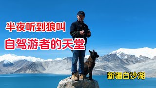 鐵牛旅行記399集在新疆白沙湖露營，半夜聽到狼叫，早上起來被眼前的美景迷住了！環遊中國 新疆自驾游 房車旅行 中国乡村 狗是人类最忠诚的朋友 [upl. by Ennaus]