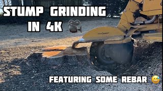 Stump Grinding in 4K with the Vermeer SC70TX [upl. by Khoury]