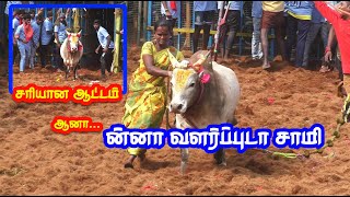 ன்னா வளர்ப்புடா சாமி 100 வேற லெவல் காளை Tamizhan Trending [upl. by Khalsa]