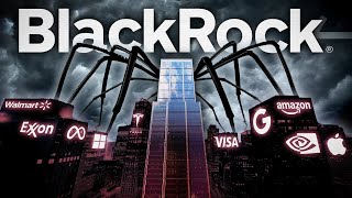 BlackRock The Most Shocking Conspiracy You’ve Never Heard Of [upl. by Assenal]