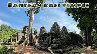 Traveled to Banteay Kdei Temple in cambodia it so beautiful in this season XD [upl. by Wadesworth848]