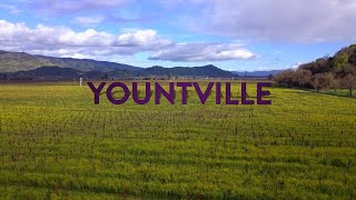 Yountville Connection 5 [upl. by Nnov]