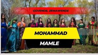 ماملێ گۆڤەندە زەماوەندە  Mamle Gowanda Zamawanda  Govende Zemawende mamle [upl. by Heall]