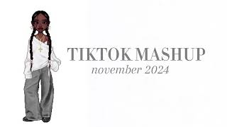 Tiktok mashup 🩶  November 2024  NOT CLEAN [upl. by Alli731]