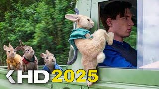 FUNNY PETER RABBIT BECOMES RICH OFFICIAL MOVIE Movie peterrabbit animation [upl. by Hannover509]