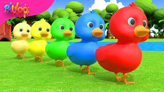 Five Little Ducks Song  Colorful Ducks  BluLoo Nursery Rhymes amp Kids Songs [upl. by Terrab675]