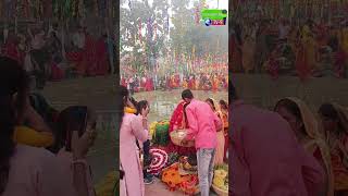 chhath puja 08112024viralvideo autonews treandingvideo trending trendingshorts [upl. by Nnairek188]