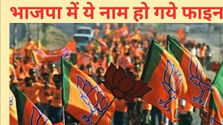 Jharkhand Election 2024  भाजपा की सूची में इन उम्मीदवारों के नाम फाइनल [upl. by Wyck]