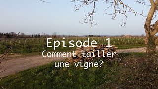 Taille de la vigne  technique en double guyot  Viticulture en biodynamie [upl. by Eiralam]