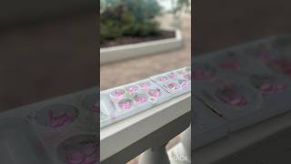 Resin mancala board adelfdesigns resin satisfying diy resinart flowers etsy plants [upl. by Yehtomit]