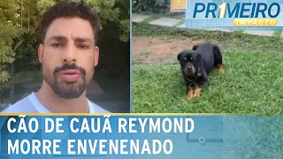 Após morte de cão de Cauã polícia investiga outros envenenamentos  Primeiro Impacto 100624 [upl. by Winslow]