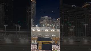 Kabay ki raunak kabay ka manzar makkah shariff status videos  short reels viral [upl. by Mellicent]