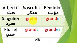 orthographe 10  laccord de ladjectif qualificatif تبعية النعت للمنعوت [upl. by Flan]