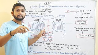 CFTRCystic Fibrsis Transmembrane Conductance RegulatorCSIR NETin Hindi [upl. by Nnor339]