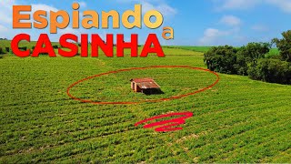 O que Será que o DRONE ACHOU Nessa Casinha [upl. by Adhamh]