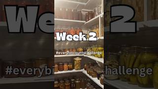 everybitcountschallenge Week 2 Freezer and Pantry stock [upl. by Asiulairam348]