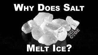 Whats the Difference Between Table Salt and Sea Salt  The New York Times [upl. by Renrew604]