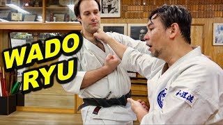 What is WadoRyu Karate Jujutsu Japanese swordsmanship 柔術と剣術を取り込んだ空手、和道流空手とは何か？ [upl. by Ruzich456]