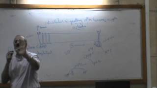 4 DrMaged Haroun 22102014  Endocrine  intracellular signaling after hormone receptor [upl. by Leonard]