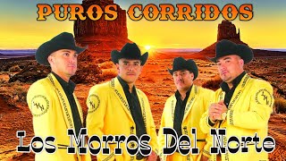 Popurrí de Los Morros del Norte 2024  Corridos Mix Para Pistear  Top Grandes Éxitos [upl. by Markland]