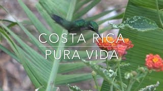 Costa Rica  sieben Wochen Rundreise mit Kleinkind  Teil 1 [upl. by Neiman]