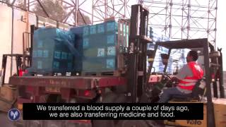 Humanitarian Aid Transferred to Gaza [upl. by Austin]