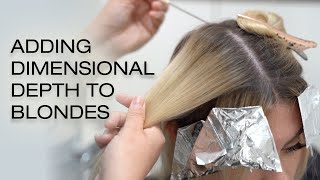 How to Shadow Root with Dimension  Lowlighting All Over Blonde Hair  Kenra Color [upl. by Phineas]