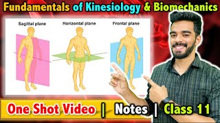 Fundamentals of Kinesiology and Biomechanics in Sports  Class 11  Unit  8  FREE Notes 🔥 [upl. by Enyaw]