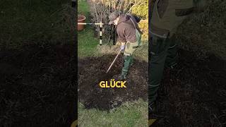 Gartenarbeit 💪🪴 kleingarten schrebergarten garten gartenarbeit YouTubeCreatorCommunity [upl. by Amehsyt859]