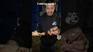 Crabbing season is here  pacificacrabbing crabbing dungeoncrab redcrab rockcrab [upl. by Chic]