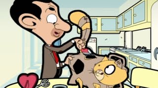 Cat Paint Job  Mr Bean Official Cartoon [upl. by Kilk]