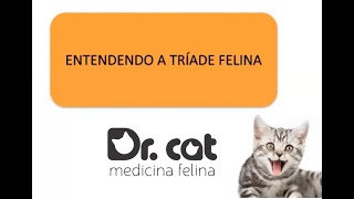 ENTENDENDO A TRÍADE FELINA [upl. by Jeromy]