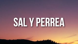 Sech  Sal y Perrea LetraLyrics [upl. by Enilav]