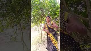 Nai jhulani ke chhaiya balam duphariyatraining video viral [upl. by Adriane]